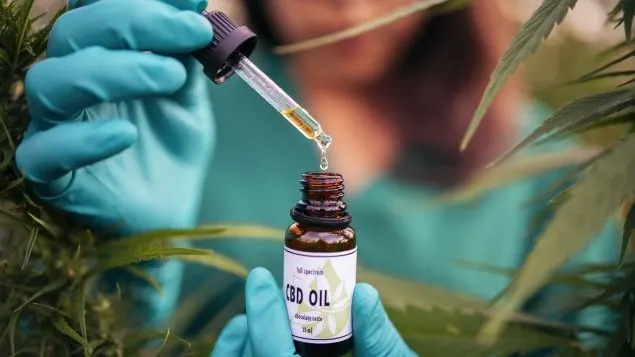 Pure CBD Co.