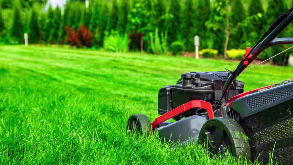 Lawn care professional
