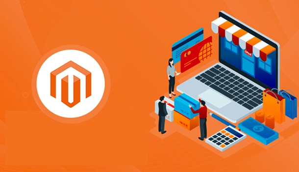 Custom Store Development