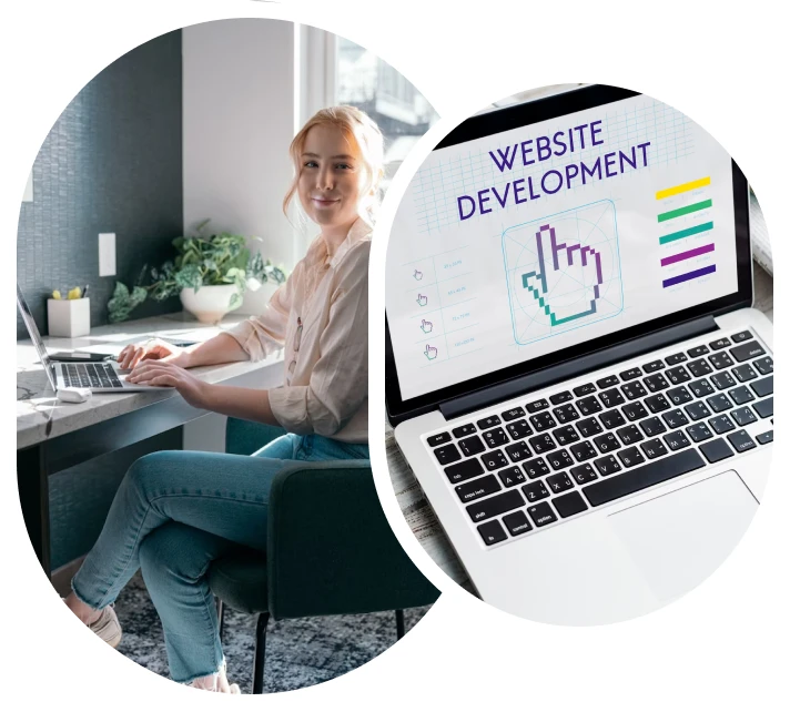 Wordpress Development